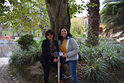 Image description
