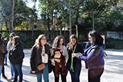 Image description