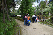 Image description