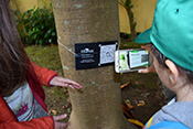 Image description