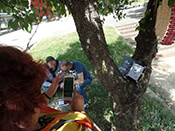 Image description