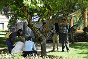 Image description