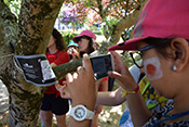 Image description